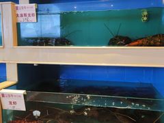 水产区-富黎华海鲜大酒楼(正大广场店)