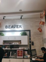 -798·beaver海狸荟