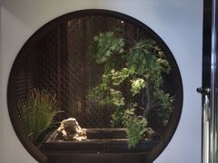 -见康道莱•足浴按摩•艾灸•SPA(友谊店)