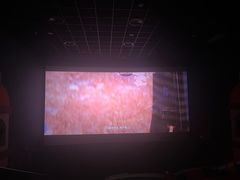 -寰映影城(大融城激光IMAX店)
