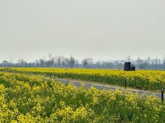 -汉长安城未央宫国家考古遗址公园