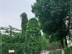 -丰台花园