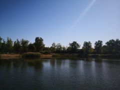 -永定河休闲森林公园