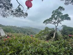 -广州市白云山风景名胜区