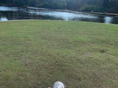 -墨尔本皇家植物园