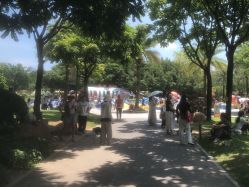 -广州市儿童公园
