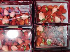 -心乐生活新鲜屋(星海广场店)