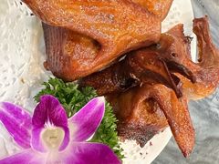 -鸽鸟轩(石岐店)