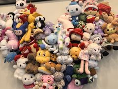 -有喵·猫咖·狗咖·30几只猫10只小狗(岗厦店)