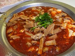-古乐牛香•鲜牛肉牛杂火锅(系马桩总店)