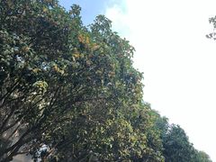 -苏州市立医院本部母子保健中心
