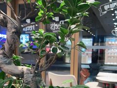 -Peet's Coffee皮爷咖啡(豫园店)