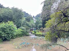 -广州市干部健康管理中心