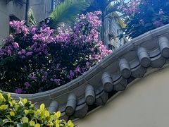 -广州神农草堂中医药博物馆