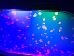 -福州罗源湾海洋世界旅游区