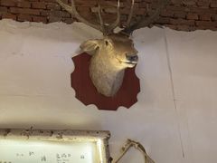 -陶野咖啡·面包披萨