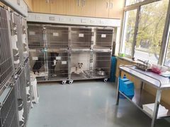 -宠颐生维康宠物医院(金丰店)
