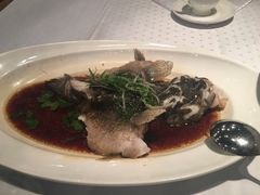 清蒸鲥鱼-上海小南国(正大店)
