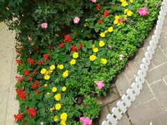 -人民公园(罗湖区)