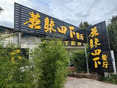 -蘑统田下·野生菌火锅