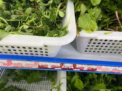 野菜-黔豆园豆米火锅·野菜馆(都匀二店)