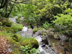 -藏龙百瀑风景区