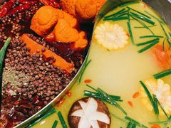 -红辣椒·川菜·火锅(张杨路店)