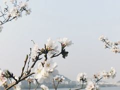 -团城山公园