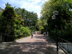 -九龙公园