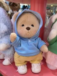 -TeddyTales莉娜熊(国贸店)
