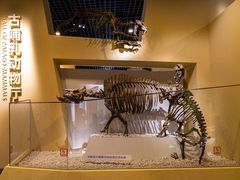 -国家自然博物馆