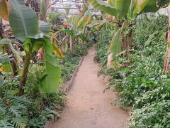 -呀路古热带植物园
