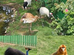 -西霞口神雕山野生动物世界