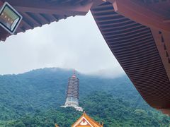 -深圳仙湖植物园