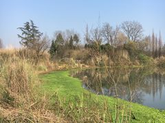 -桤木河湿地公园