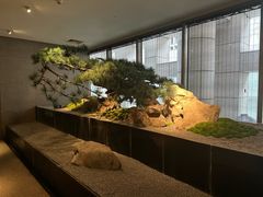 -新荣记(建国门外大街店)