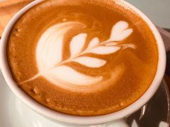 -sugarman espresso素饮糖人高新咖啡工厂