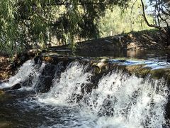 -长白岛森林公园