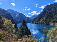 -川姐牦牛肉粉(沟口店)