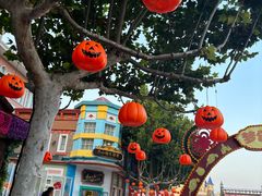 -青岛方特梦幻王国