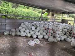 -红旗山庄(圭峰山店)