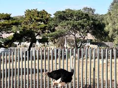 -沈阳森林动物园