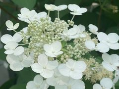 -共青国家森林公园-售票处