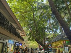 -海南分界洲岛旅游区