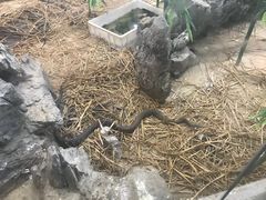 景观位-荔城生鲜盛宴(番禺旗舰店)