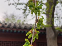 -北京石刻艺术博物馆(五塔寺)