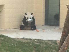 -石家庄市动物园