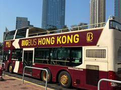 -Big Bus Tours 敞篷观光巴士