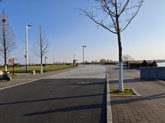 -合肥滨湖国家森林公园