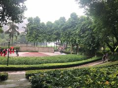 -龙头寺公园